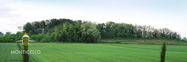 Gebiet und Präsentation des Weinguts Vini Monticello - Zwei Carrare Colli Euganei Padua